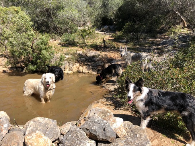 FFLo2WL2Si6nz7iz6pc0KQ