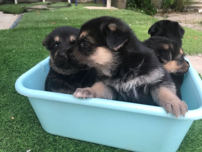 17fe9226-9457-4787-a74e-8b76afb080eb