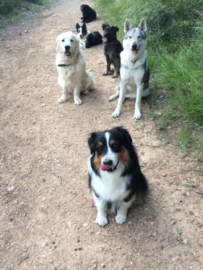 9701cdb7-e713-4d2d-9921-28d3adef0348