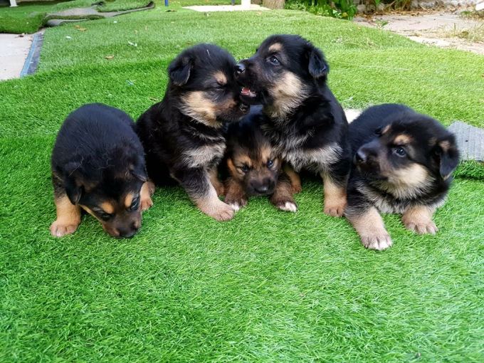 c7d3f78c-0142-44d4-b7fb-4ce8acdcc65c