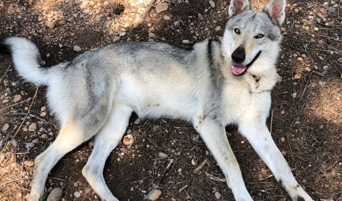 Hot? Not in the&nbsp;shades