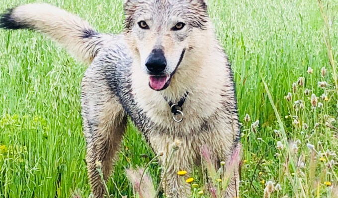 If rain or&nbsp;sunshine…