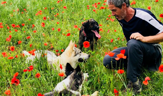 Good Care, Happy&nbsp;dogs!