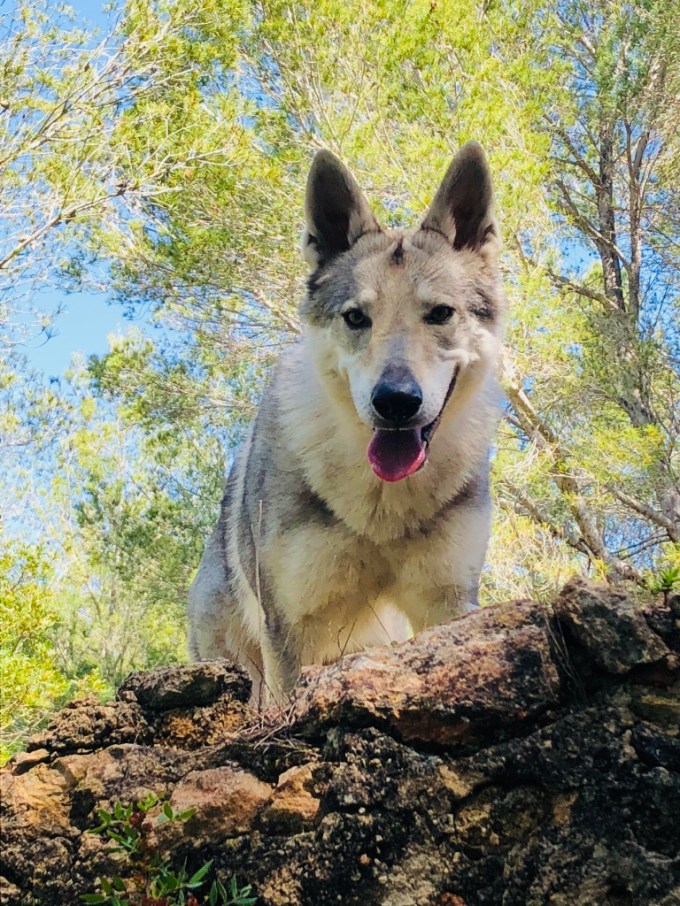 tu5EVJX8QQ6ErF6x1FUxvw_thumb_1411