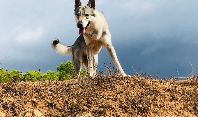 I am going to be a&nbsp;mum!